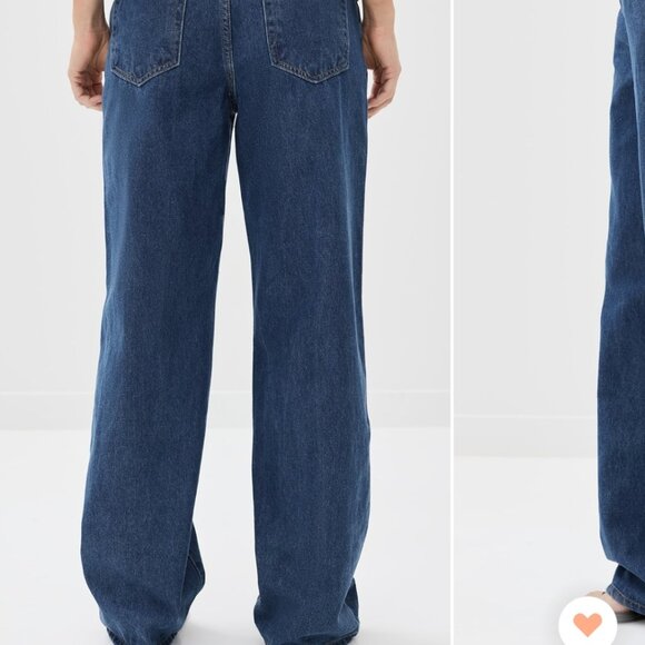 Lioness - Picture 2 of 3